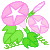 あさがお　イラスト