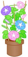 朝顔　イラスト