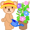 朝顔　イラスト
